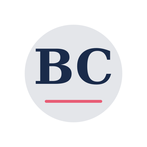 Bryan Chimney Repair logo